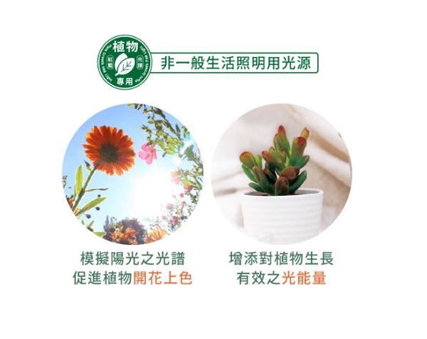 紅藍光譜植物PAR燈 