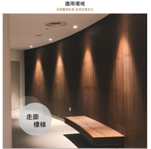 9公分歡笑崁燈 
