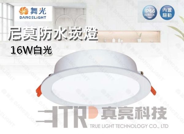 15公分尼莫防水崁燈 