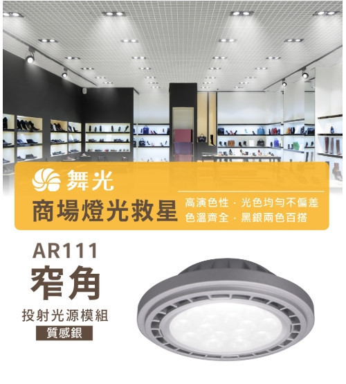 AR111 窄角投射光源模組-質感銀 
