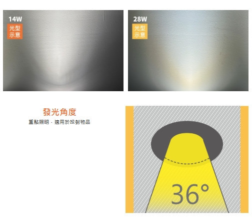 PAR38 兩用型投射燈泡 