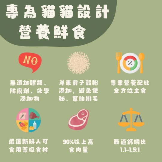 貓咪寵物鮮食-身強體健牛 貓咪鮮食, 寵物食品, 無防腐劑, 營養均衡, 雞骨湯, 身強體健牛, 高含肉量, 人食等級原肉, 毛孩健康, 簡單無添加