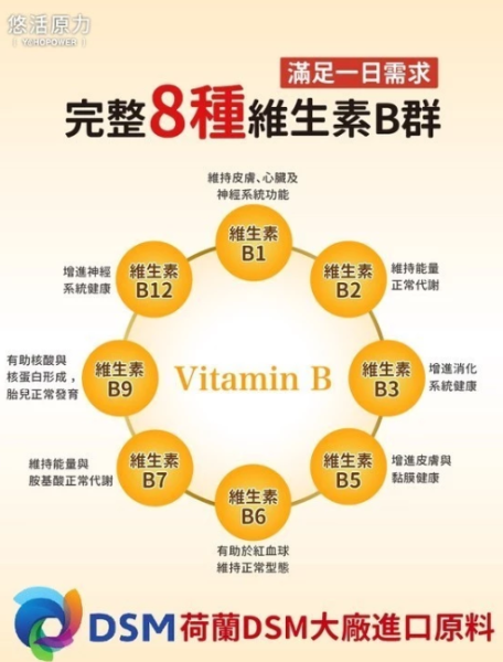 原力綜合維生素緩釋B群【好厝邊每天必吃 提神很有感】 