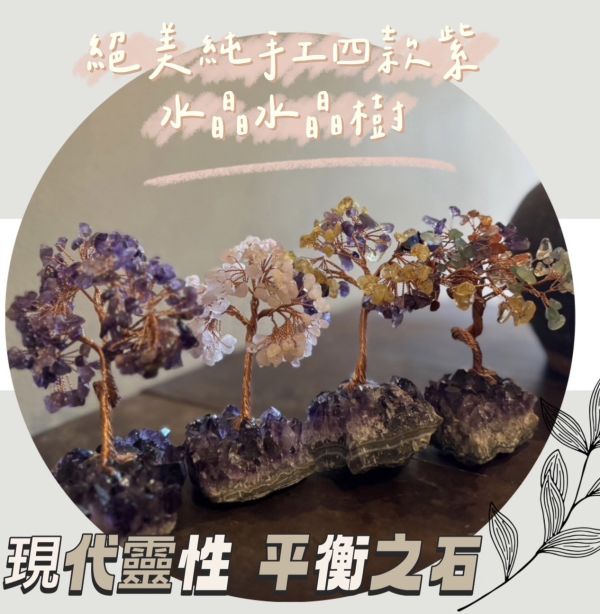 紫晶樹 