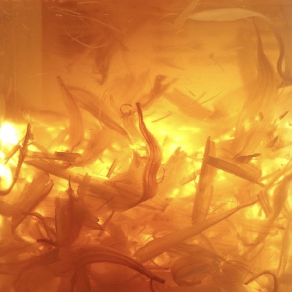 KIEHL'S 契爾氏 金盞花植物精華爽膚水-500ML 