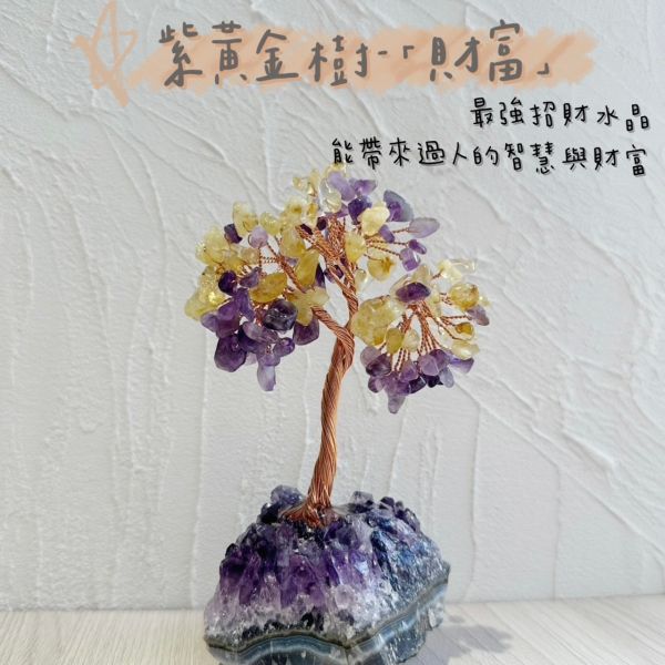 紫晶樹 