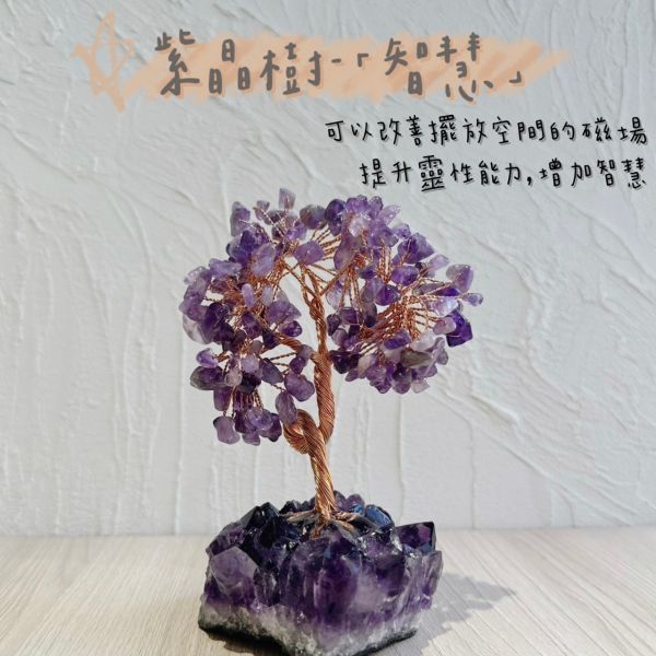 紫晶樹 