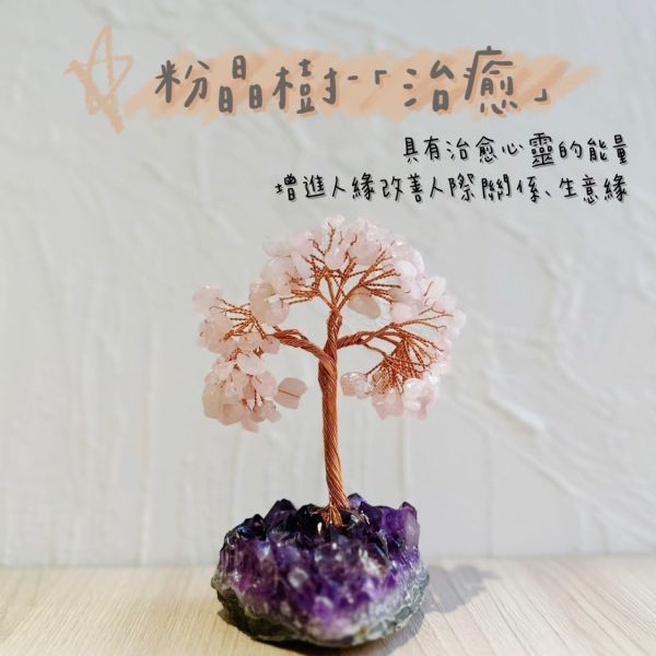 紫晶樹 