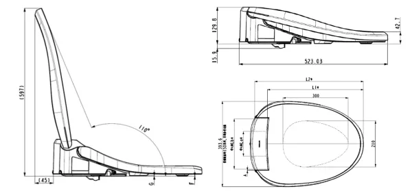 C3-255 電腦馬桶蓋(白,含遙控器), 隱藏管線版, 110V/60HZ 