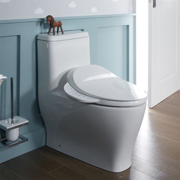 Kohler-C3-520 電腦馬桶蓋(白),110V/60HZ (附過濾器/過濾芯) 