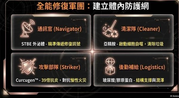 麗歐沛詩 外泌體黃金玻尿酸膠原蛋白胜肽 生命之源補給站,銀髮族關節保健組合,乾眼症,近視,眼睛疾病,飛蚊症,譜偉酮飲,生酮捷徑,麗歐沛詩, 王者傳奇,預防醫學,預防保健,健康,抗衰,退化性關節炎,生酮,睡眠問題,減肥,疲勞,發炎,肝問題,美肌,防曬,血液循環