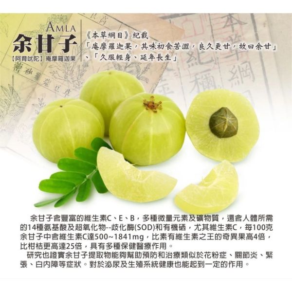 退化性關節炎組合 