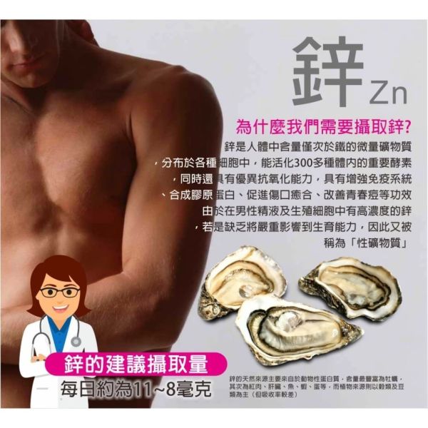 退化性關節炎組合 