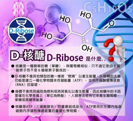 麗歐沛詩 沛力泉 EX Plus 綜合營養膠囊 麗歐沛詩 ,沛力泉 EX Plus , 綜合營養膠囊,麗歐沛詩, 經典玻尿酸, 水解, 膠原蛋白胜肽,生命之源補給站,銀髮族關節保健組合,乾眼症,近視,眼睛疾病,飛蚊症,譜偉酮飲,生酮捷徑,麗歐沛詩, 王者傳奇,預防醫學,預防保健,健康,抗衰,退化性關節炎,生酮,睡眠問題,減肥,疲勞,發炎,肝問題,美肌,防曬,血液循環