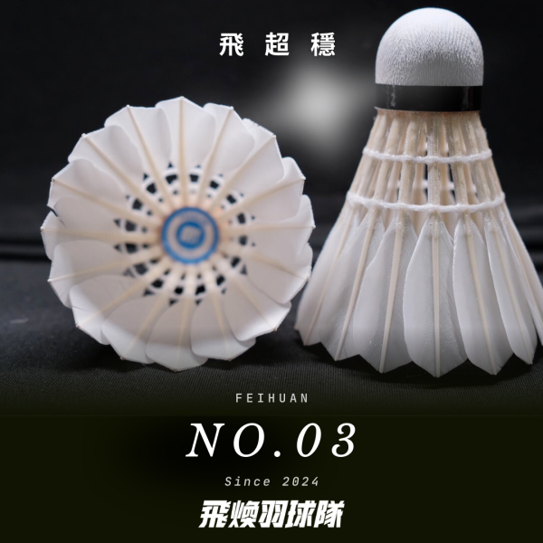 【飛煥羽球 3 號】FEIHUAN No.3 飛行穩定 (台製) 