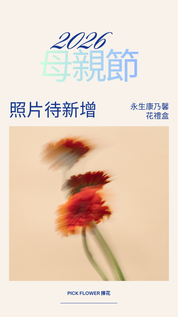 永生康乃馨花禮盒(5色) 