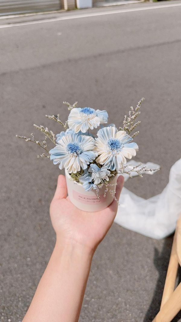小雛菊香氛擴香花盅｜3色可選 擴香花,乾燥花桌花,不凋花桌花,小雛菊桌花,擴香桌花,生日禮物推薦,畢業禮物,居家擺飾,辦公桌小盆花,永生花桌花,療癒桌花,台中花店,豐原花店,交換禮物,小盆花推