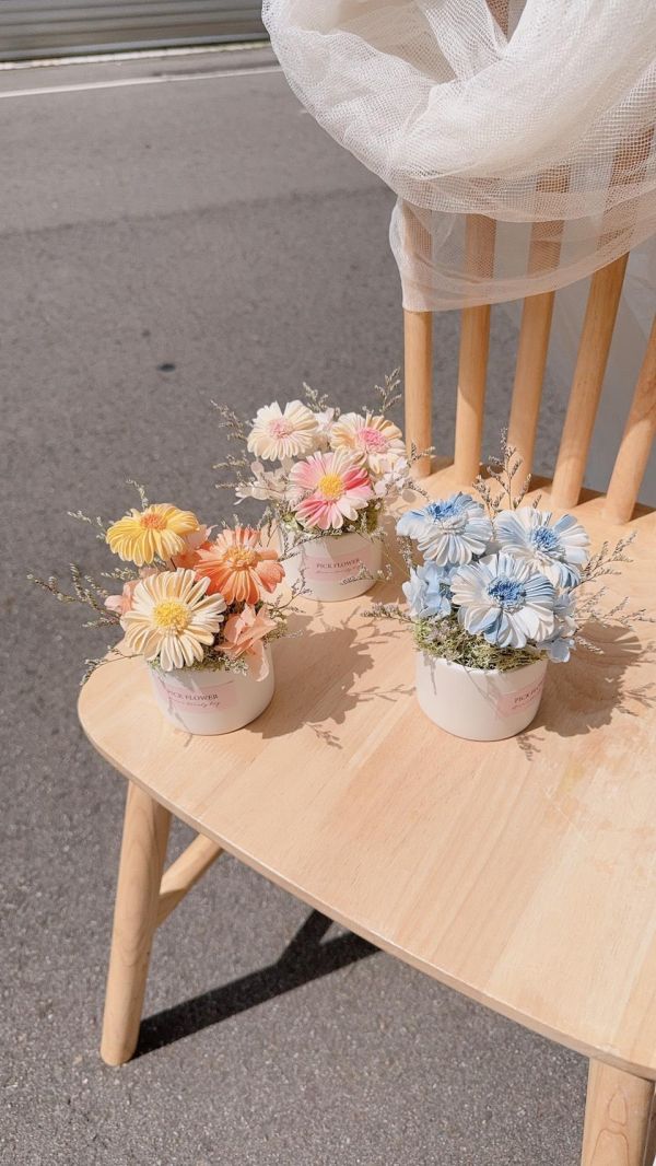 小雛菊香氛擴香花盅｜3色可選 擴香花,乾燥花桌花,不凋花桌花,小雛菊桌花,擴香桌花,生日禮物推薦,畢業禮物,居家擺飾,辦公桌小盆花,永生花桌花,療癒桌花,台中花店,豐原花店,交換禮物,小盆花推