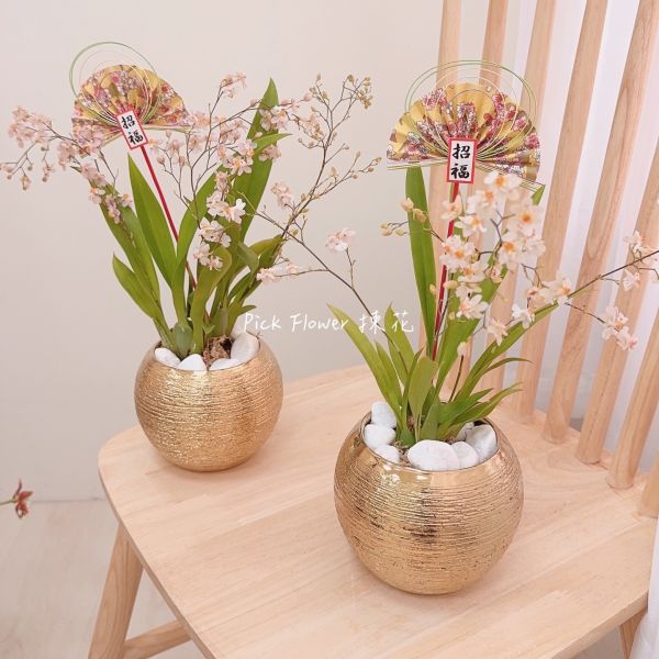 《鮮花蘭花組盆》香水迷你文心蘭 香水迷你文心蘭,文心蘭組盆,蘭花盆栽設計,鮮花蘭花組盆,新年蘭花盆栽,開幕蘭花送禮,公司行號蘭花,台中花店,花藝設計蘭花,日式蘭花盆栽