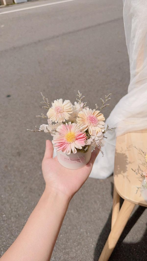 小雛菊香氛擴香花盅｜3色可選 擴香花,乾燥花桌花,不凋花桌花,小雛菊桌花,擴香桌花,生日禮物推薦,畢業禮物,居家擺飾,辦公桌小盆花,永生花桌花,療癒桌花,台中花店,豐原花店,交換禮物,小盆花推