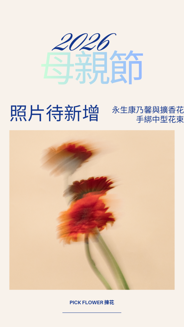 永生康乃馨與擴香花手綁中型花束(2色) 