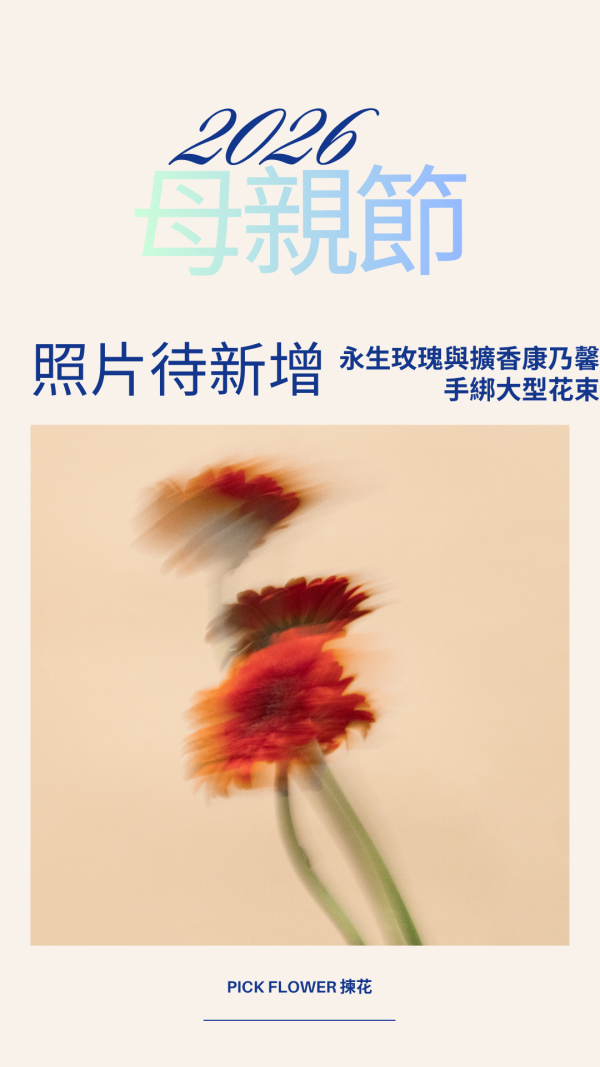 永生玫瑰與擴香康乃馨 手綁大型花束｜春日粉藍 