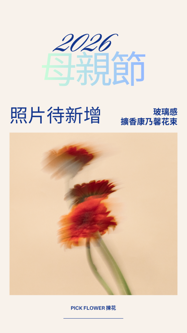 玻璃感擴香康乃馨花束(2色) 