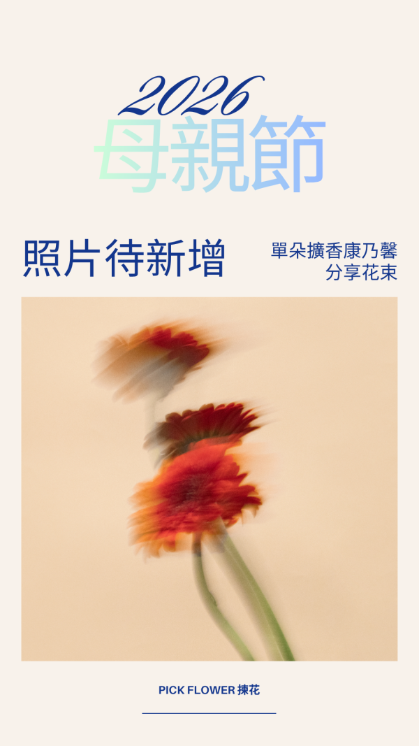 擴香康乃馨單枝分享花束(2色) 