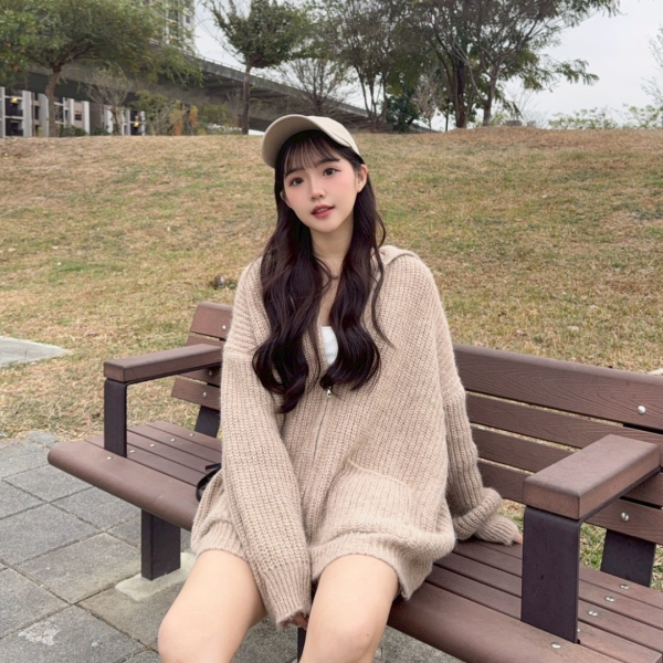 【現貨】新色登場.ᐟ.ᐟ誰能不愛這件厚磅雙口袋翻領拉鍊毛衣外套 (2colors) #H04 