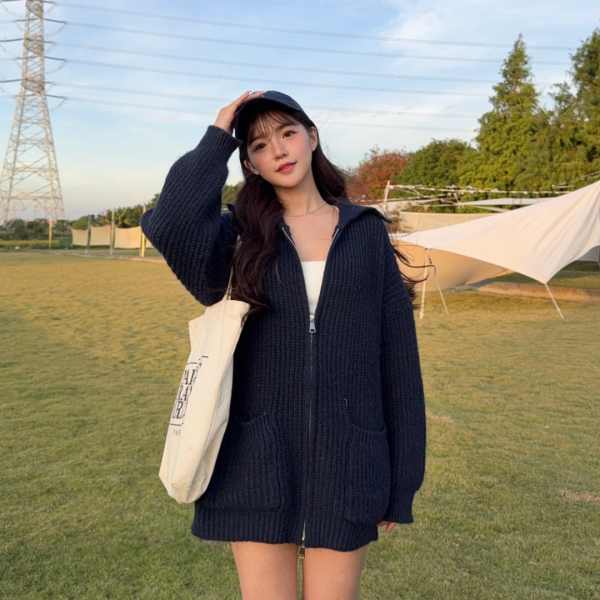 【貨在途中】強勢回歸.ᐟ.ᐟ誰能不愛這件厚磅雙口袋翻領拉鍊毛衣外套 (2colors) #H04 