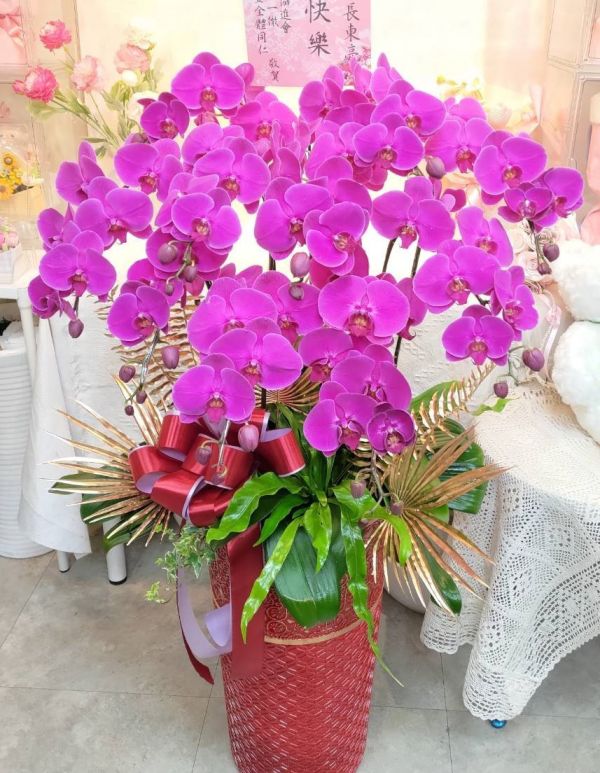 The Flower蘭花盆栽 落地型蘭花盆栽 10株蝴蝶蘭 落地型蘭花盆栽,蘭花盆栽,高雅花型,家居裝飾,辦公空間擺設,高貴蘭花,吉祥花卉,送禮推薦,自然氣息,蘭花花卉,美好祝福,品質蘭花,室內花卉,