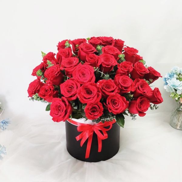 The Flower鮮花花禮 進口玫瑰盆花 進口玫瑰盆花,新鮮進口玫瑰,玫瑰盆栽,高品質玫瑰,家居裝飾,送禮首選,情人節禮物,生日禮物,紀念日禮物,在線訂購,快速送達,浪漫禮物,玫瑰盆花訂購