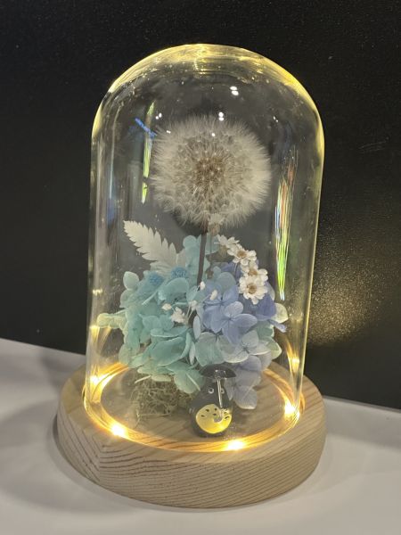 永遠守候的蒲公英 蒲公英, 玻璃盅, 永生不凋花, 不凋花, 日本AUBE