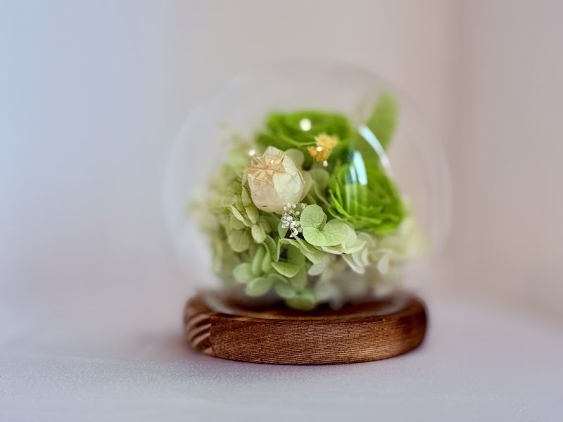 水晶球_森息之光 日本AUBE玫瑰, 紫陽花, 水晶球, 永生不凋花, 水晶球