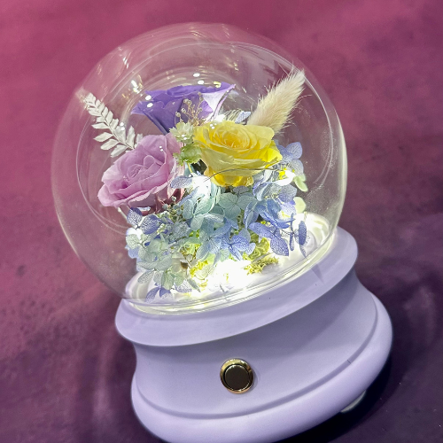 Bluetooth Speaker with Nightlight preserved flowers, Bluetooth speaker, nightlight, glass dome