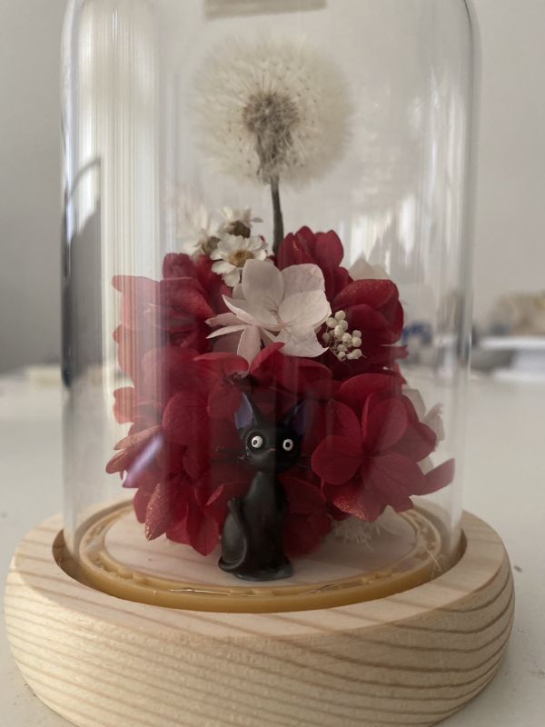 Wish Under the Moonlight dandelion, hydrangea, glass dome with light, preserved flowers, totoro