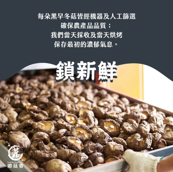 【親好屋x勵馨基金會】公益有機香菇禮盒 