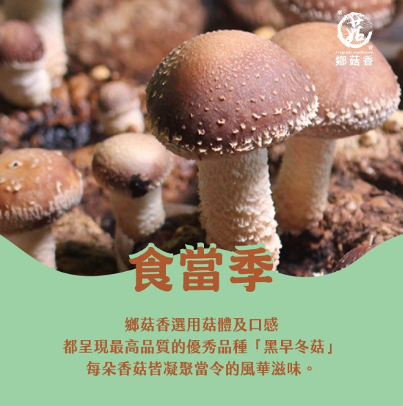 【親好屋x勵馨基金會】公益有機香菇禮盒 