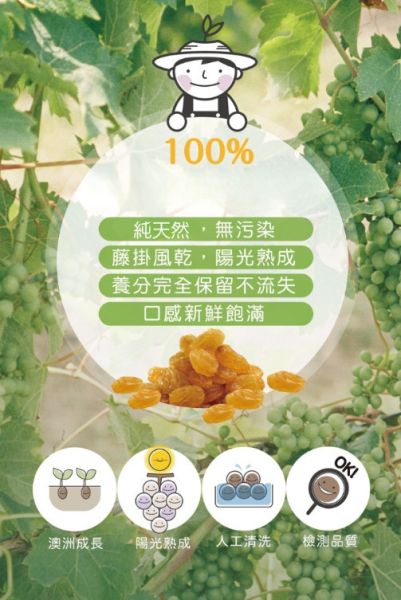 【好味坊】澳洲陽光寶石葡萄乾三重奏 