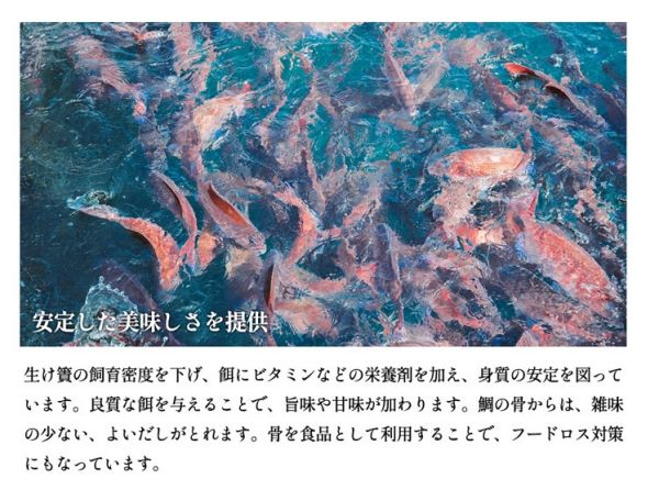 【日本選物】煮出料亭靈魂，熊本MYSTARS真鯛魚濃縮白高湯 