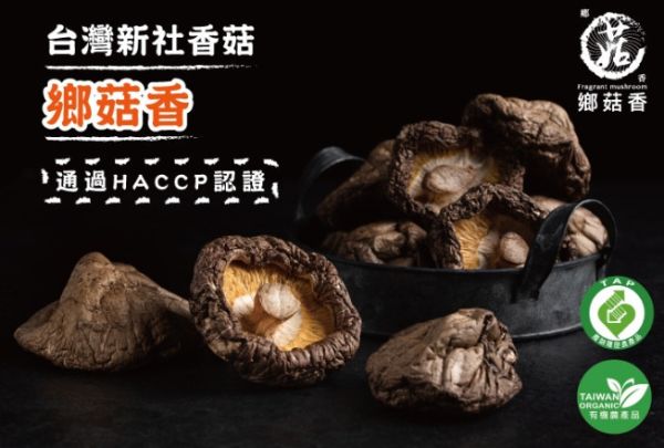 【親好屋x勵馨基金會】公益有機香菇禮盒 