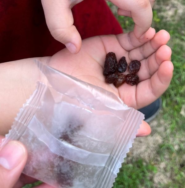 【好味坊】澳洲陽光寶石葡萄乾三重奏 
