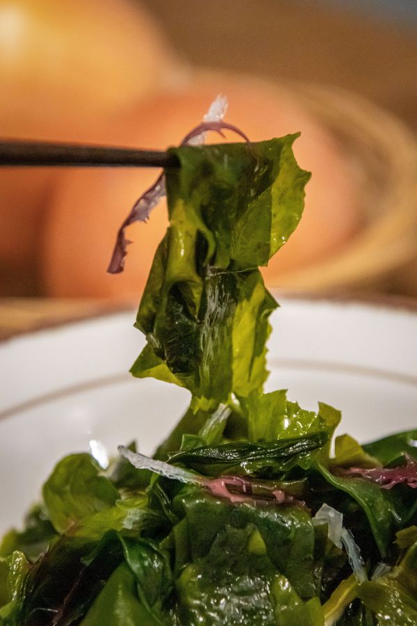 【日本選物】快速補充膳食纖維，寒天海藻 