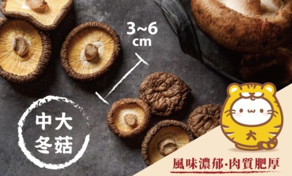 【親好屋x勵馨基金會】公益有機香菇禮盒 