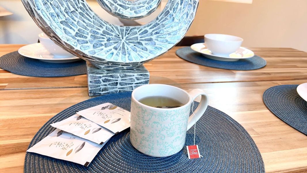 【一葉知心】一心二葉的遼闊，高冷烏龍立體茶包 