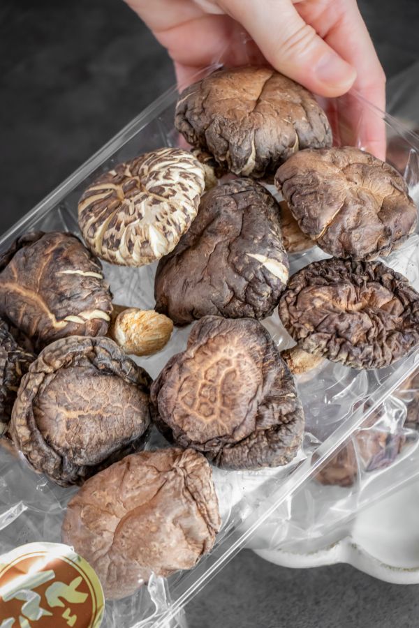 【日本選物】料理靈魂配角，大分產冬菇 