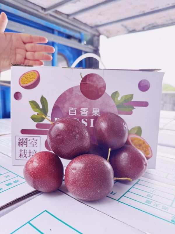 【產地直送】蜂農推薦！用心栽培結果的美濃百香果 