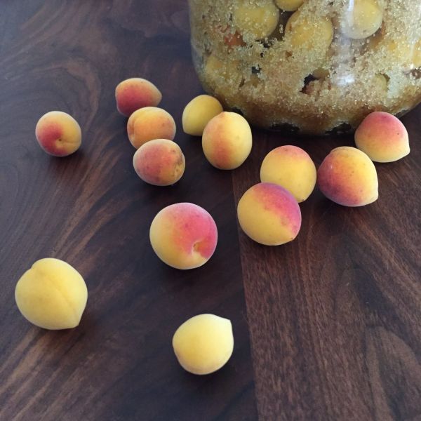 【胭脂】用一年養出圓潤飽滿，僅選用完熟作物的果梅/果露 