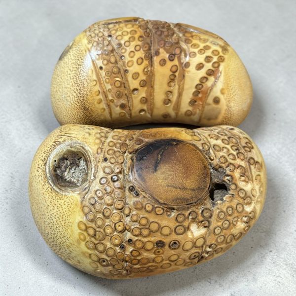 竹頭杯(大) 竹頭杯