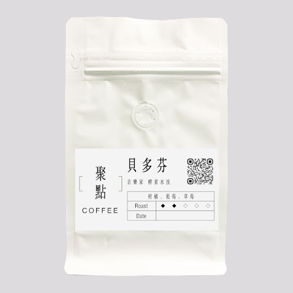 音樂家 貝多芬 酵素水洗 